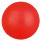 Preview: Trixie Ball Hundespielzeug